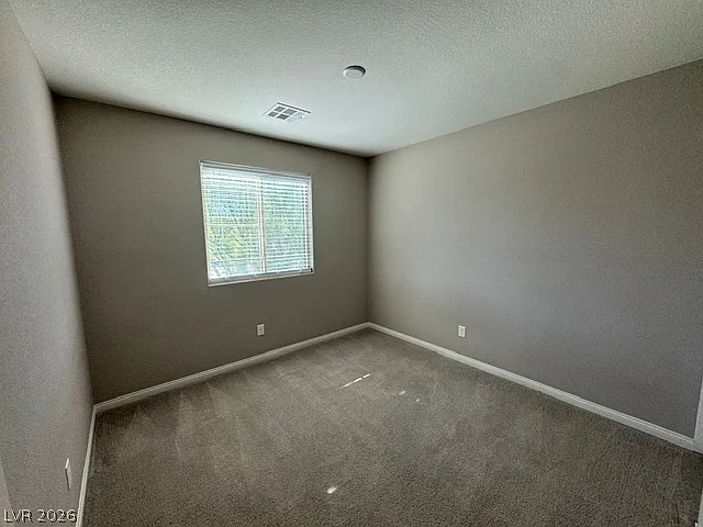 10558 Siesta Key St — Photo 15