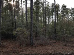 701 Green Morgan School Rd, Clyo, GA 31303