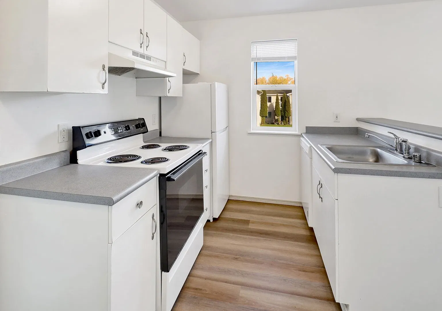 3163 Studio Ln — Photo 1