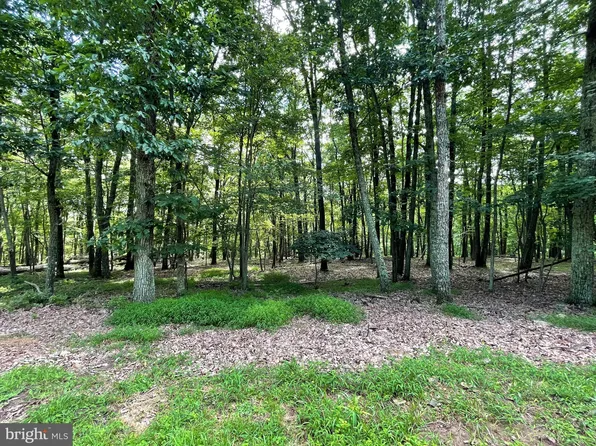 120 S Spring Mountain Dr, Zion Grove, PA 17985