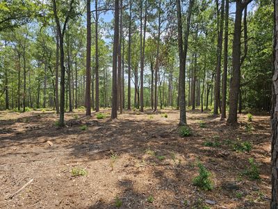 LOT 4 Snipes Rd, Aiken, SC, 29801