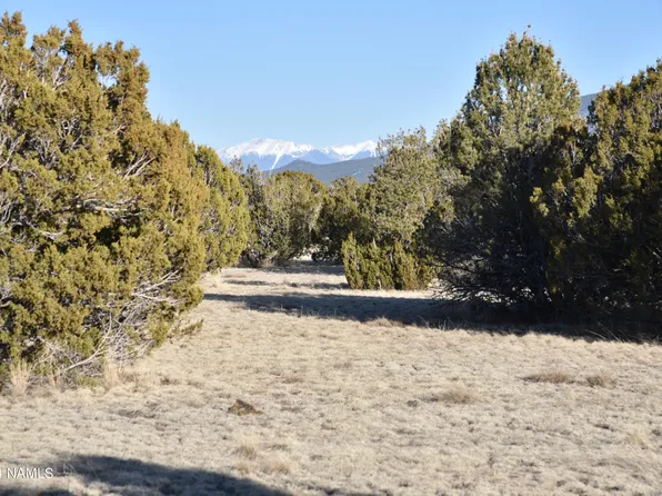 1311 E Utopia Trl #1, Williams, AZ 86046