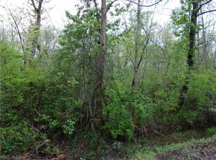 Vl Riverside Drive Painesville Township, Painesville, OH 44077