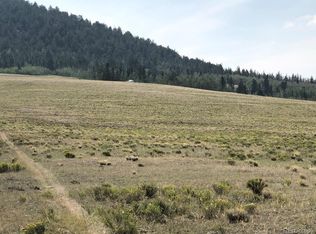 4507 Bar D Rd, Fairplay, CO 80440