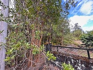 5th image of Plumeria St Lot 6246