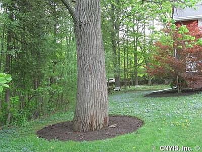 3rd image of 4973 Lakeview Dr