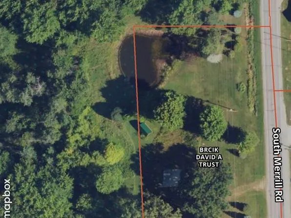 11950 S Merrill Rd, Brant, MI 48614
