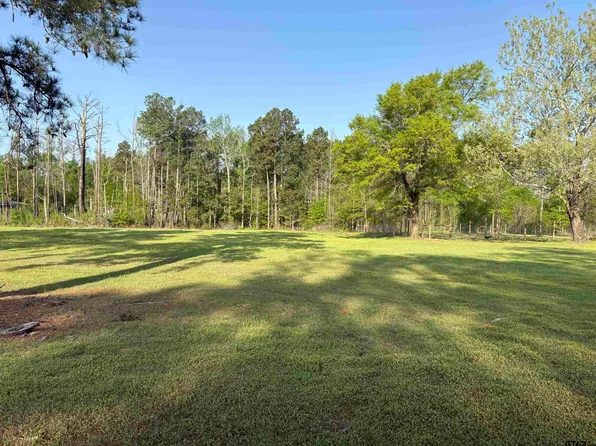 405 S Joy St, Troup, TX 75789