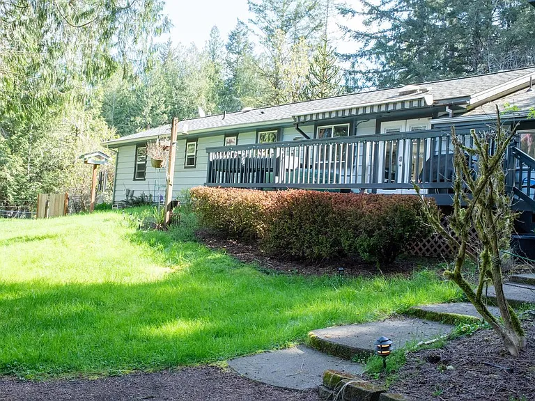Back yard