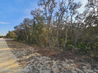 34310 Manuel St, Webster, FL 33597