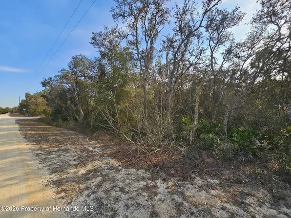 34310 Manuel St, Webster, FL 33597