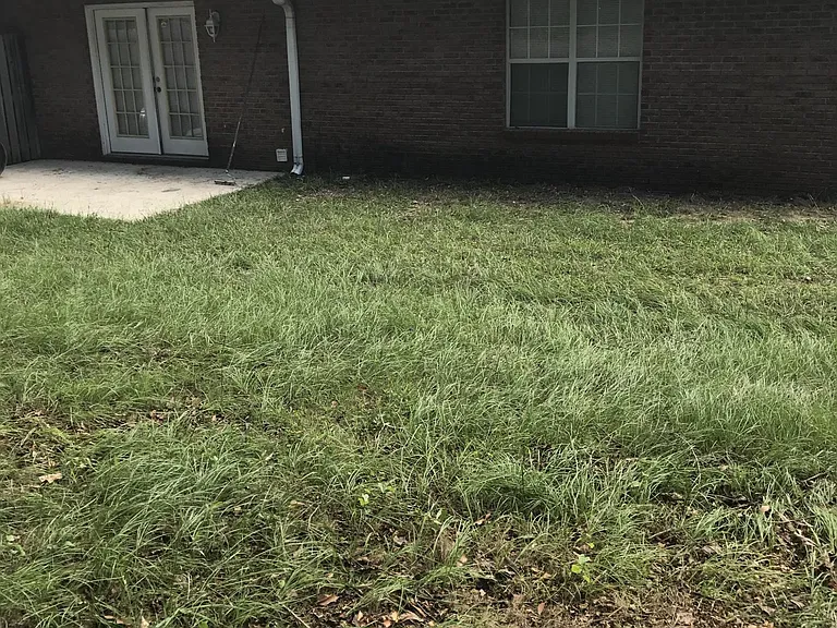 1963 Bluff Ct — Photo 23
