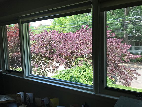 View from picture window