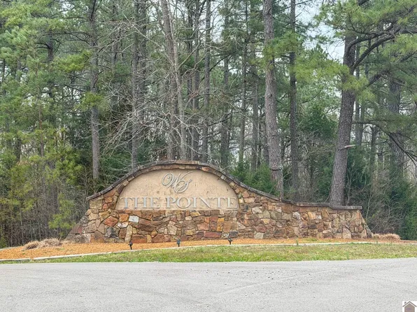 Haynes Cemetery Rd, Murray, KY 42071