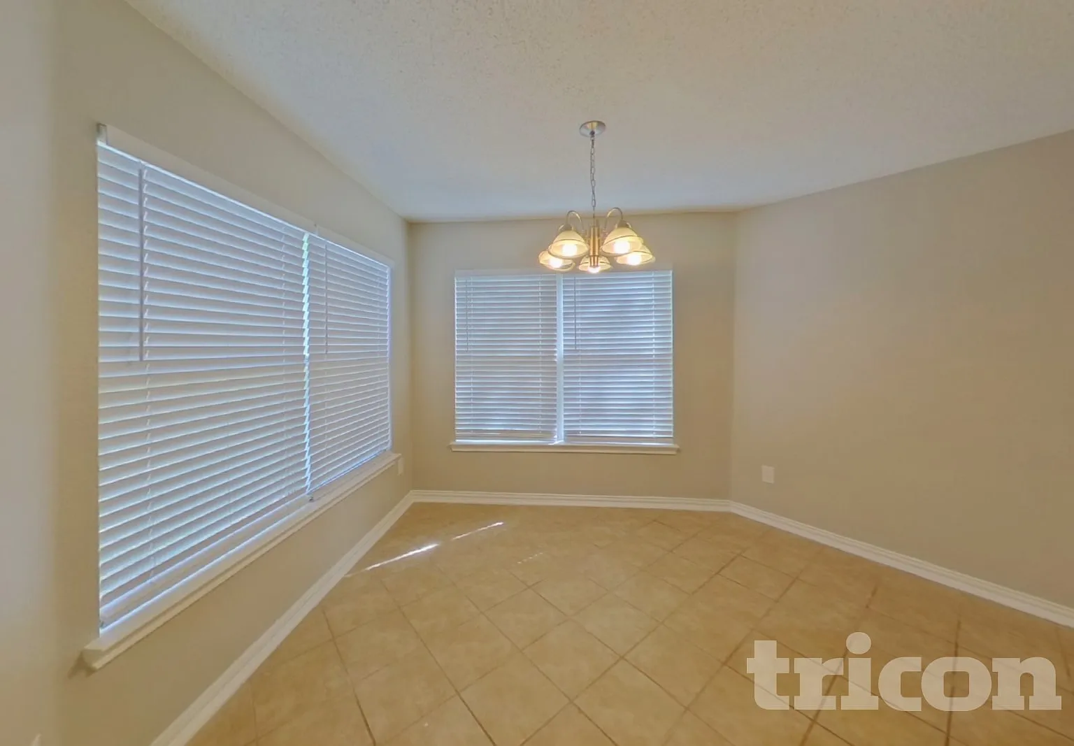 541 Gibson Street Cedar Hill TX — Photo 4