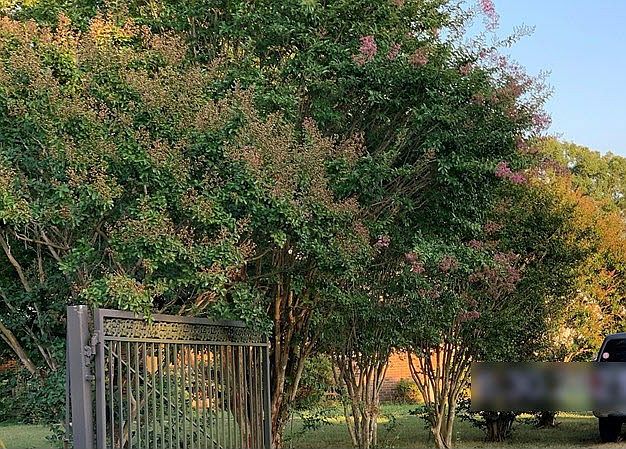2nd image of 8781 Dogwood Dr
