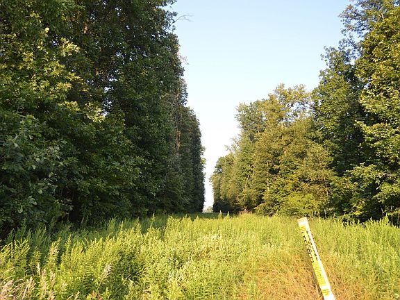 4th image of 8567 W Township Road 84 Lot Wp001