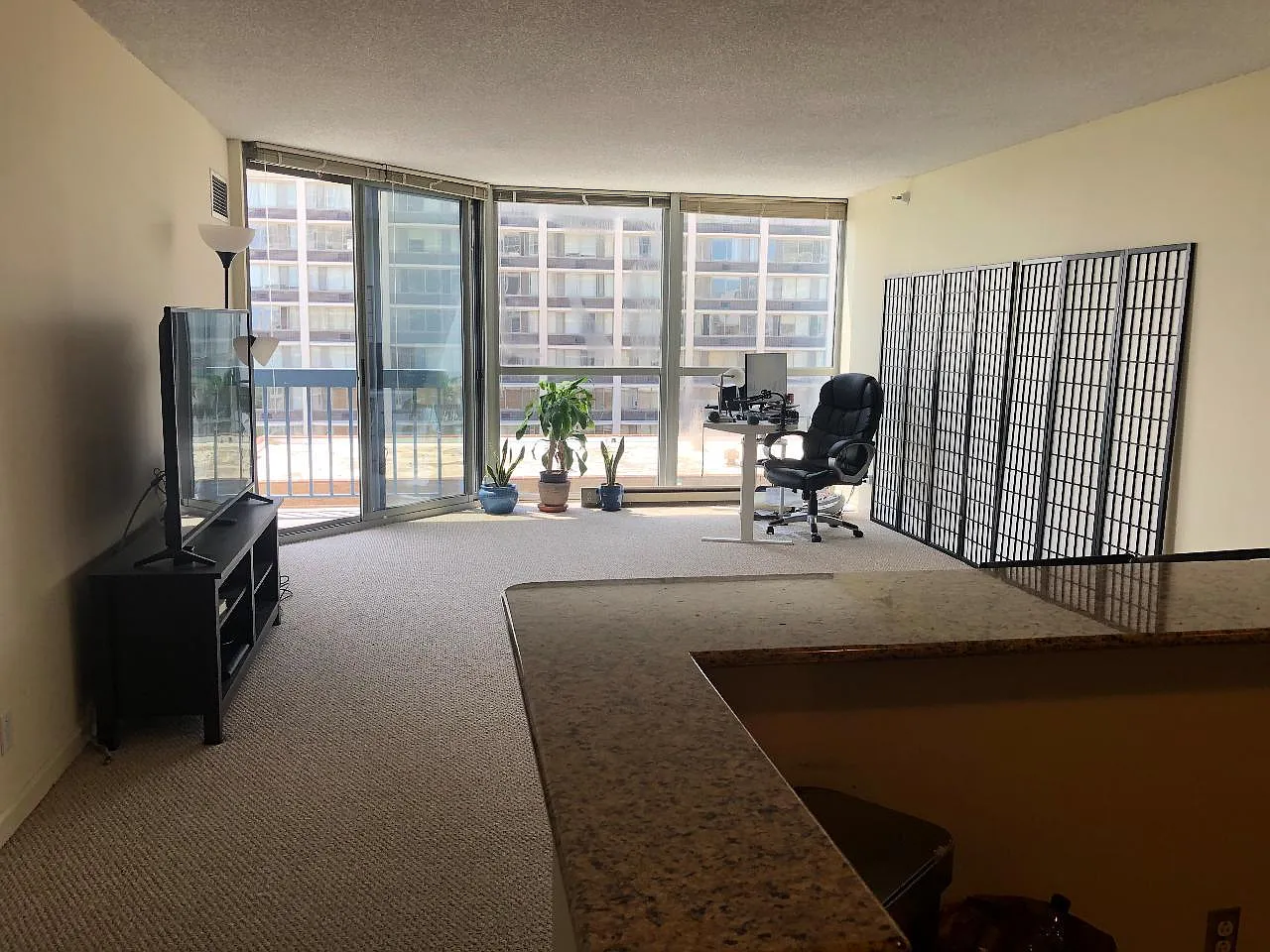 1 bed, 695 sqft, $1,900 — Photo 4