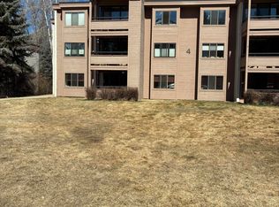 422 Vine St #422, Aspen, CO 81611