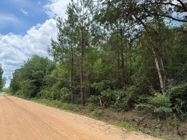 Old Faceville Rd, Bainbridge, GA 39819