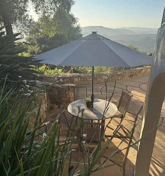 25202 Piuma Rd — Photo 31