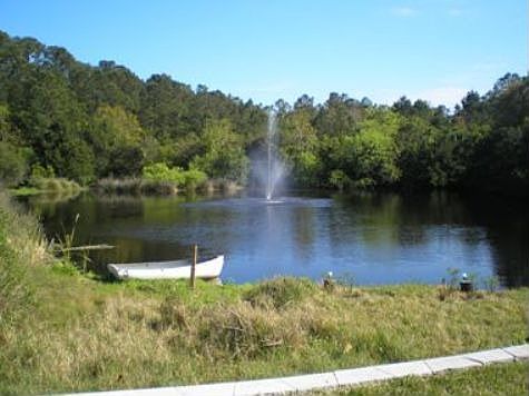 Pristine View