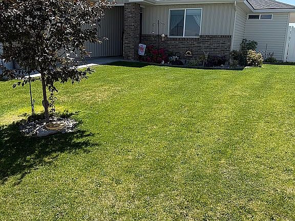 Front of house and yard