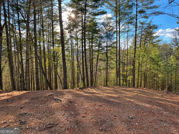 73 Jasmin Ct #73, Ellijay, GA 30540