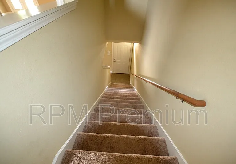 2117 Cypress Hall Aly — Photo 16