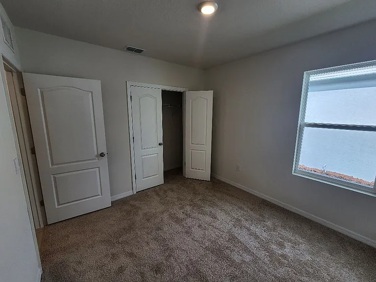 362 Caryota Ct — Photo 8