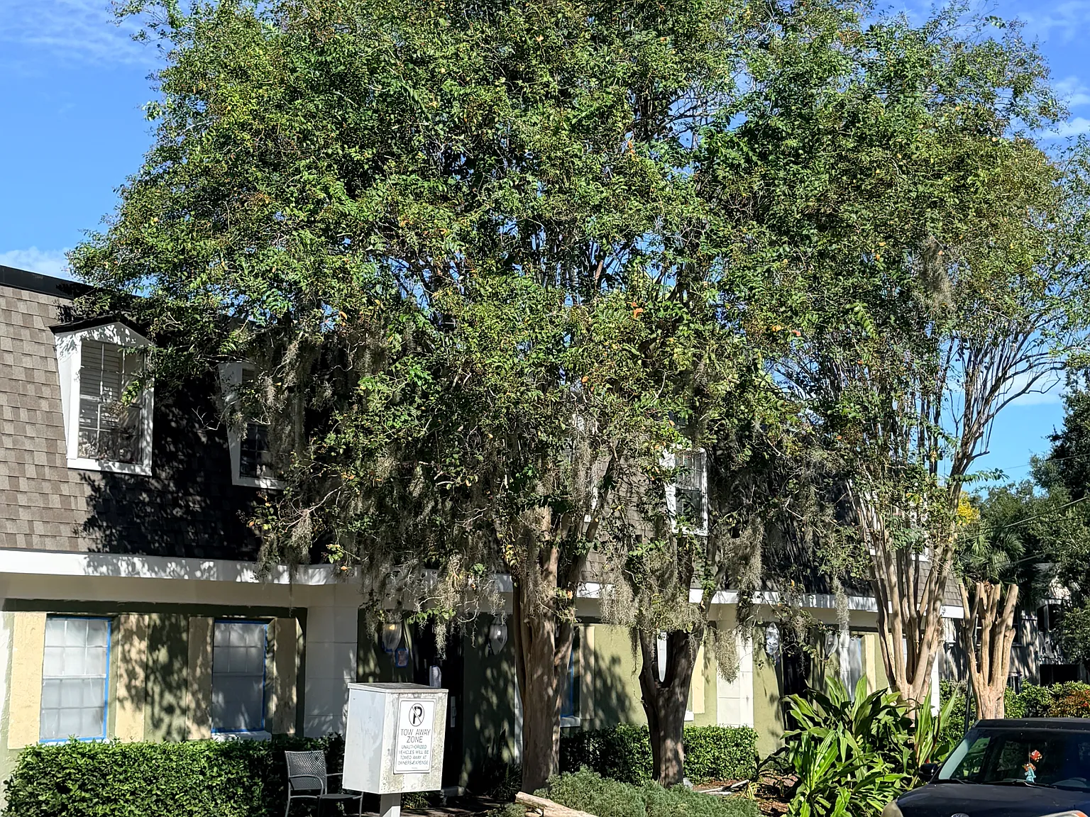 1 bed, 650 sqft, $1,450 — Photo 1