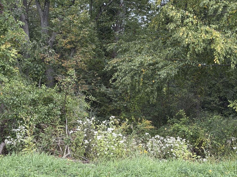 2nd image of 8595 Us Highway 6