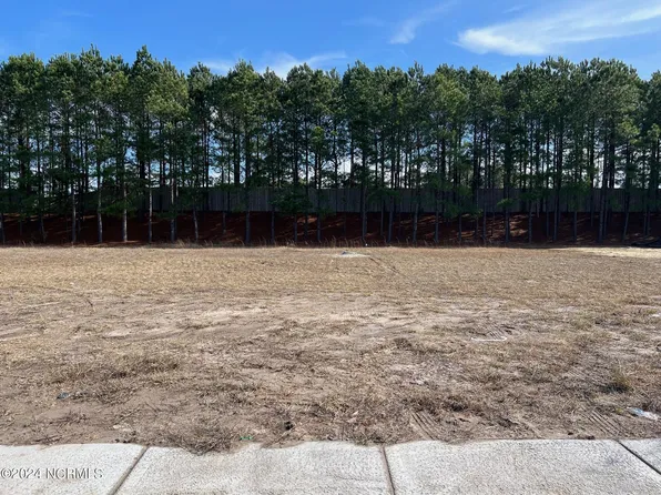 2197 Palm Pointe Lot 5, Leland, NC 28451
