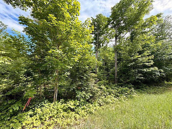 4th image of Michigan #123
