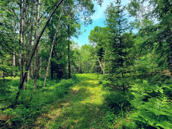 Tbd County Road 39, Laporte, MN 56461
