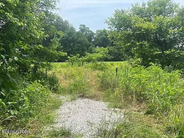 2nd image of LOT 14R1 Pleasant View Cemetery Rd