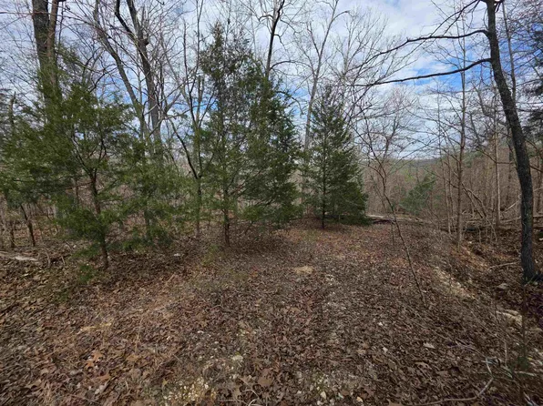 L-42 Robinhood Ln #B, Hardy, AR 72542