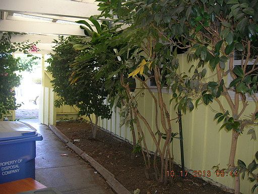2nd image of 964 Boyd St