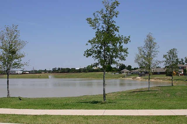 Near by lake