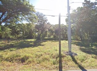 19500 Old Trilby Rd, Dade City, FL 33523