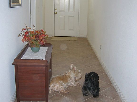 4th image of 2128 Mountain Rock Ct