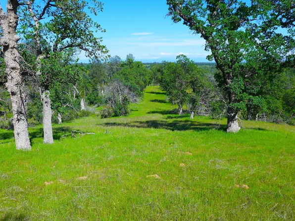 20 Lower Coal Pit Dr, Igo, CA 96047