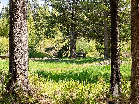 5th image of Teatable Ct