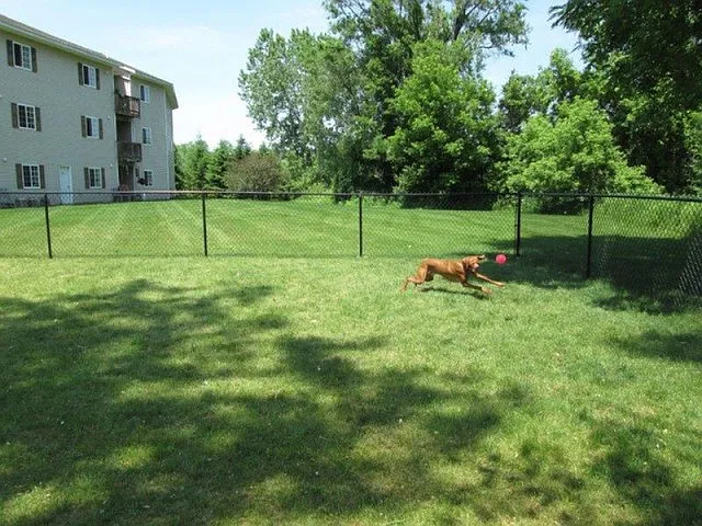 Long Pond Village Apartments — Photo 25
