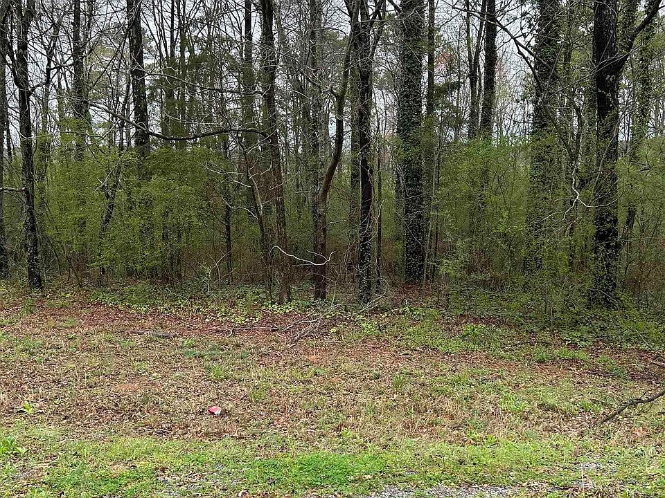 2nd image of 11 Dry Creek Rd
