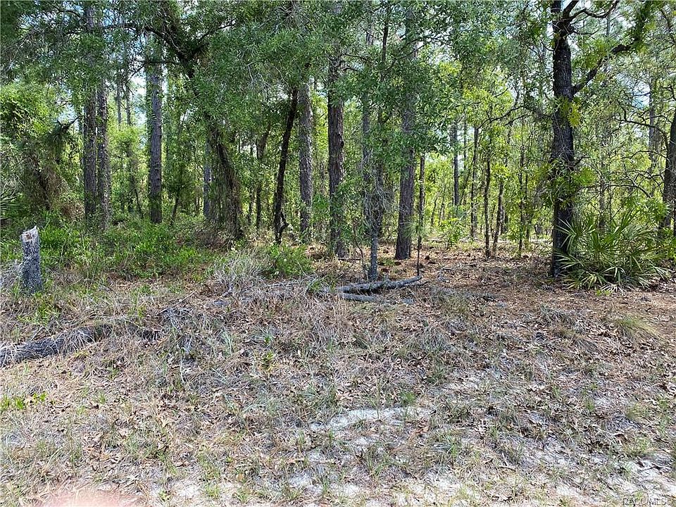 1st image of 31 Pagoda Dr