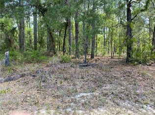 31 Pagoda Dr, Homosassa, FL 34446