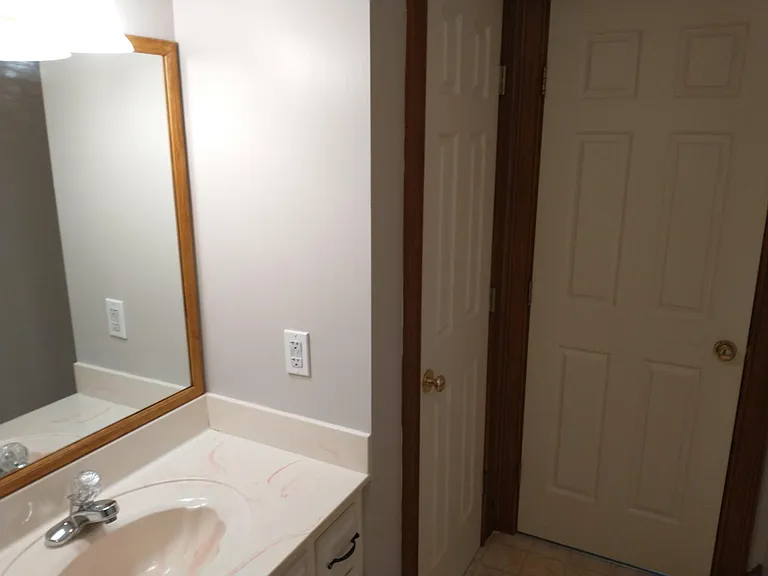 Hall bath linen closet