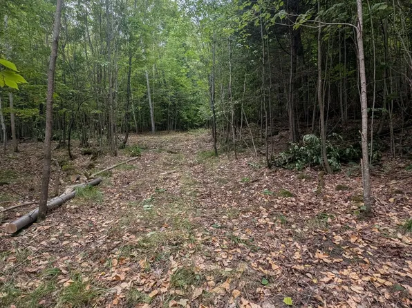 0 Kamaniskeg Lake Rd, Hastings Highlands, ON K0J 1L0