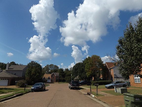 5th image of 8344 Mangrove Dr
